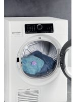 Whirlpool WASHING DDS102 Drum